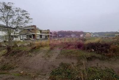 Teren de 5000 mp, în Corbeanca