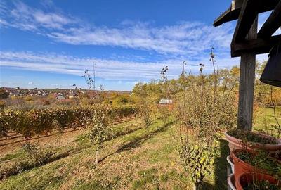 Casă individuală cu 3 camere cu Teren 4000 Mp în Bârnova - 11