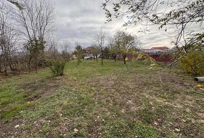 Casă cu 4 camere cu Teren 2041 Mp în Dragșina - 2