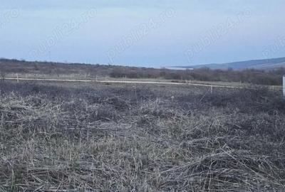 Teren de 504 mp, în Paleu - 5