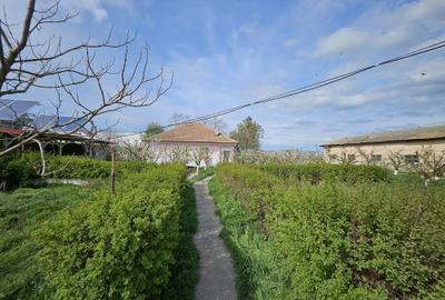 Spațiu comercial, în Medgidia - 7