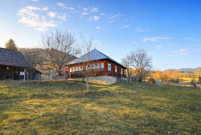 Casă cu Teren 4813 Mp în Lunca - 3