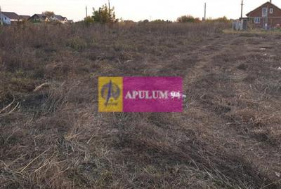 Teren construcție casă - 1 Decembrie - Zona Metropolitană București Teren construcție casă - 1 Decembrie - Zona Metropolitană București - 48