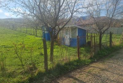 Spațiu comercial, în Rusenii Noi - 7