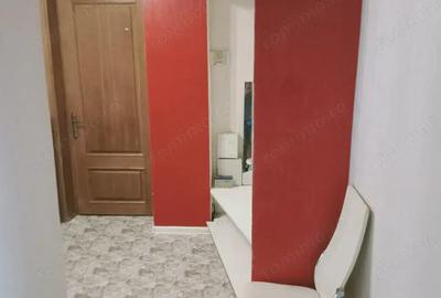 Apartament cu doua camere de inchiriat in zona - 9