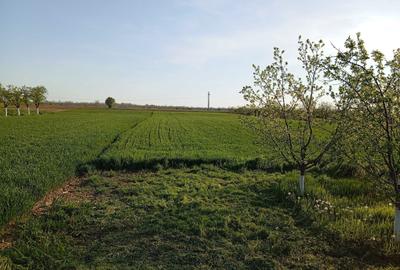 Casă cu 4 camere în Moara Mocanului - 5