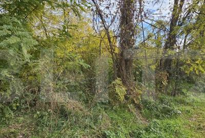 Teren intravilan in Comuna Razvad 1950mp cu acces la princip - 10