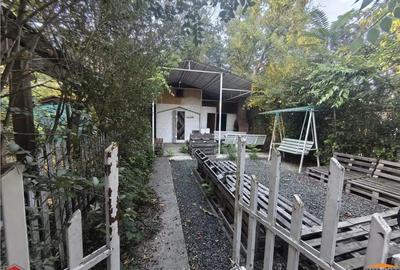 Cabana pe Stradul din Arad aproape de Mures - 3