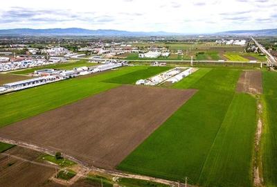Teren agricol intravilan de 10000 mp, în Griviței - 4
