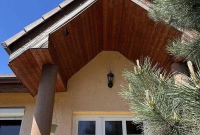 Casă cu 3 camere cu Teren 375 Mp în Paleu - 18