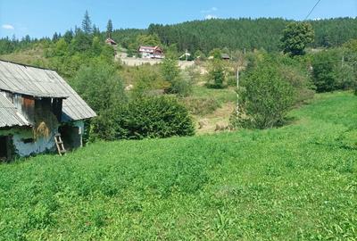 Teren de 1170 mp, în Ruginești - 2