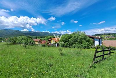Teren Tocile - Sibiu - 1000 mp - 3