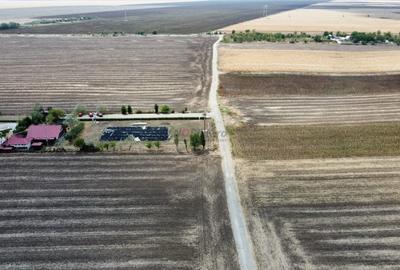 Frumusani - Hobby Arena - teren intravilan cu PUZ aprobat - 4