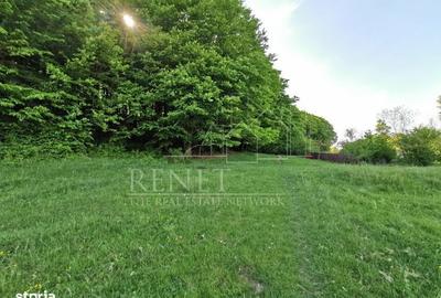 Spațiu comercial, în Bascov - 10