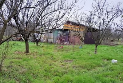 BARCANESTI - casa +curte+teren 16k mp - 9