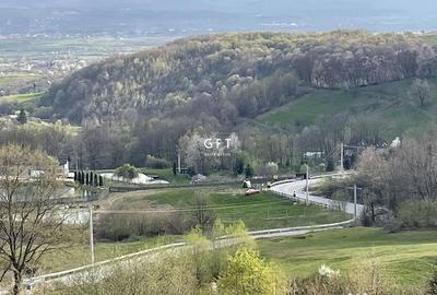 Casă cu 7 camere cu Teren 3500 Mp în Colibița - 3
