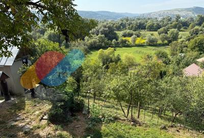 Teren Construcții de 2305 mp, în Grigorescu - 2