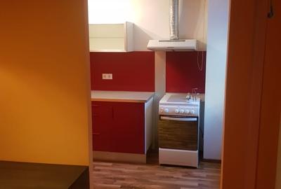 Lacul Tei - Facultatea de constructii Lacul Tei - Facultatea de constructii - 4