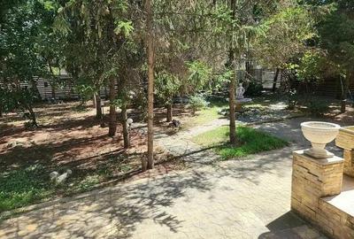 Casă cu 7 camere cu Teren 1000 Mp în Băneasa - 2