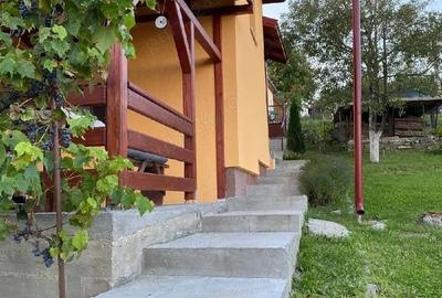 Casă cu 4 camere cu Teren 1971 Mp în Mica - 2