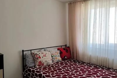 Apartament cu 2 camere semidecomandat, mobilat în Baicului - 2