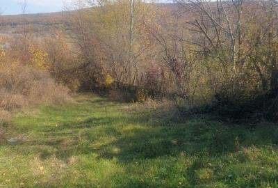 Teren intravilan si extravilan 4000 m2 Jud Buzau - 4