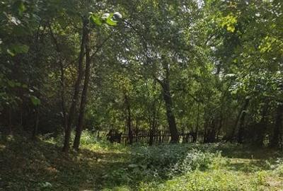 Teren de 636 mp, în Podul Lung - 4