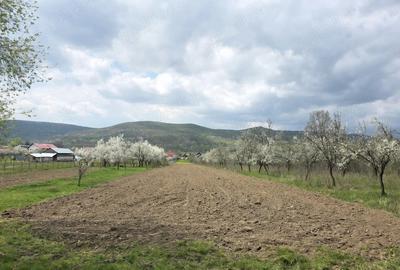Teren de 2000 mp, în Rădești