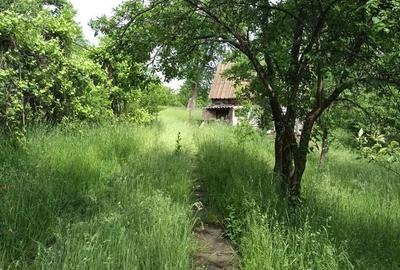 Casă cu 2 camere în Glăjărie - 9