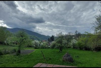 Spațiu comercial, în Central - 2