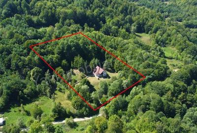 Casă cu 5 camere cu Teren 6842 Mp în Brădetu - 7