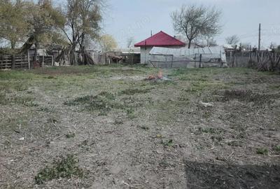 Casă cu Teren 1140 Mp în Străjescu