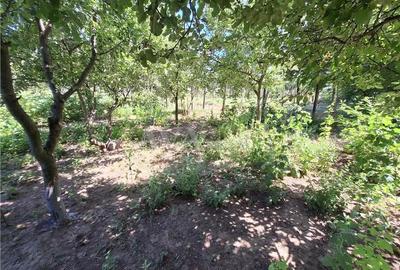 Casa 3 camere teren 580 mp, zona Tache-Bacau - 1