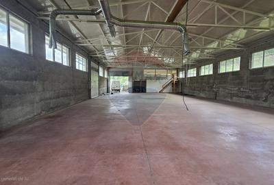 Spațiu industrial, de 540 mp, în Nord-Vest - 10