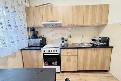 Apartament cu 2 camere semidecomandat, mobilat în Domenii - 13