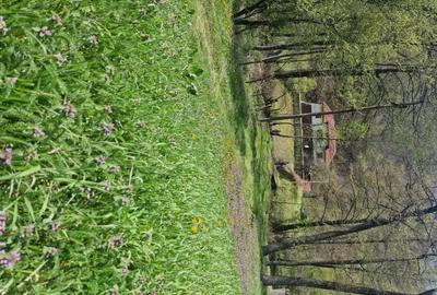 Casă cu 4 camere în Central - 2