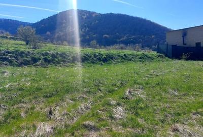 Teren 1500mp extravilan spre vanzare  Poplaca - 3