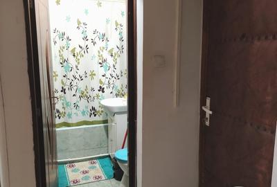 Garsonieră decomandată, mobilată în Dumbrava 2 - 6