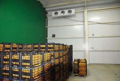 Spațiu Depozitare Industrial -  Depozitare/Refrigerare, Constructie metalica - 5