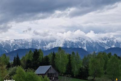Spațiu comercial, în Fundata - 15