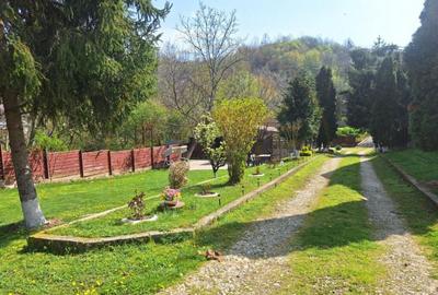 CASA DE VACANTA - UN MIC COLT DE RAI , STEFANESTI, ARGES CASA DE VACANTA - UN MIC COLT DE RAI , STEFANESTI, ARGES - 8