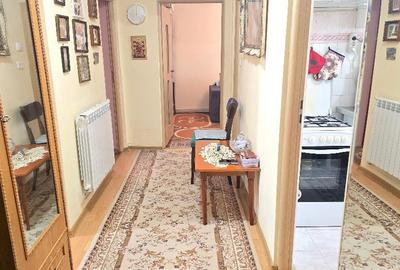 Vand apartament 3 camere decomandat Deva, George Enescu, parter inalt - 11