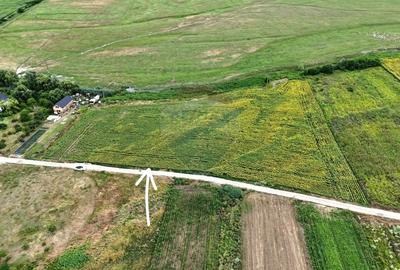 De vanzare teren de 3091 mp in Lilieci / Strada Tulbuc - Bacau - 3