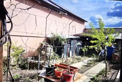 Casă cu 3 camere cu Teren 279 Mp în Brestei - 10