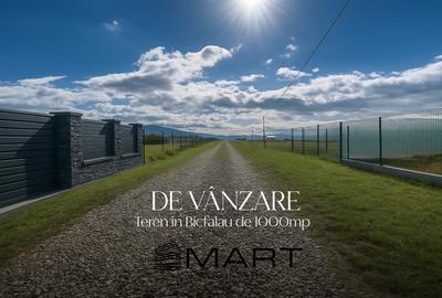 Teren Intravilan 1000 mp Bicfalau - 1