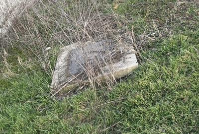 Teren de 820 mp, în Manolache - 1