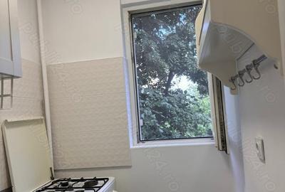 Colentina teiul doamnei metrou obor - 5