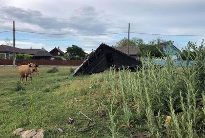 Spațiu comercial, în Sfântu Gheorghe - 1