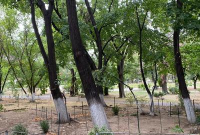 REA1025053 Apartament cu 4 camere Floreasca - 9