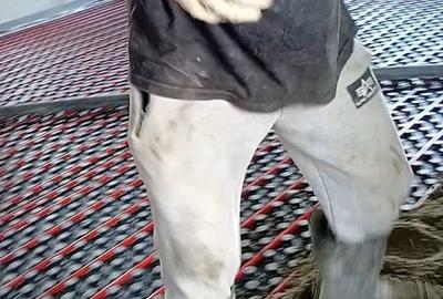 Casă cu 3 camere în Mogoșești - 3